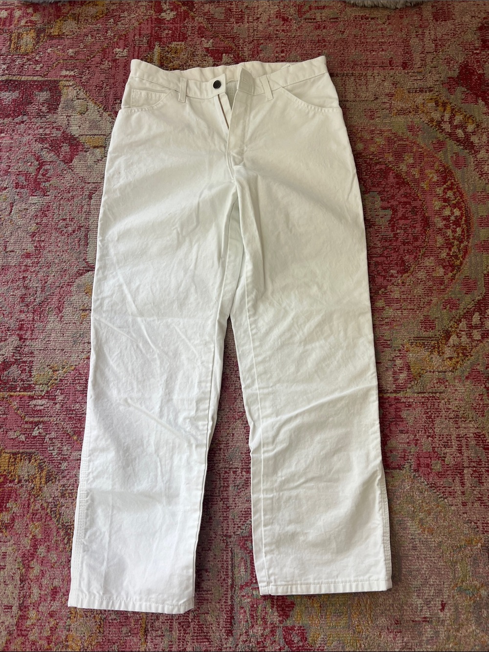 Dickies X Sherwin Williams Work Pant Collab